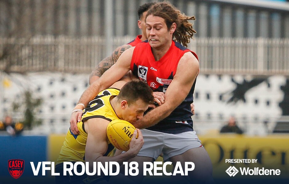 190805_VFL_Round18Recap.jpg